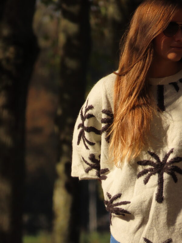 Pull Palm Beach – Image 2